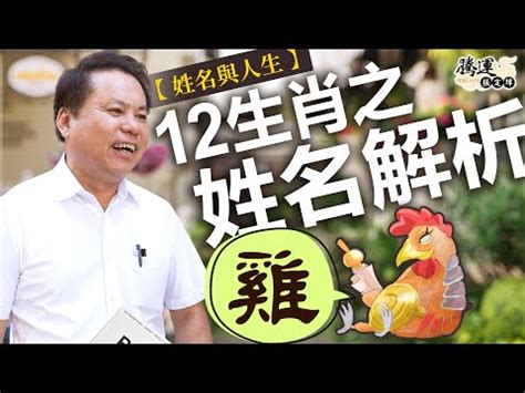 屬雞喜用字|【生肖姓名學】生肖屬雞喜忌用字－歹命人自救會：「補八字六派。